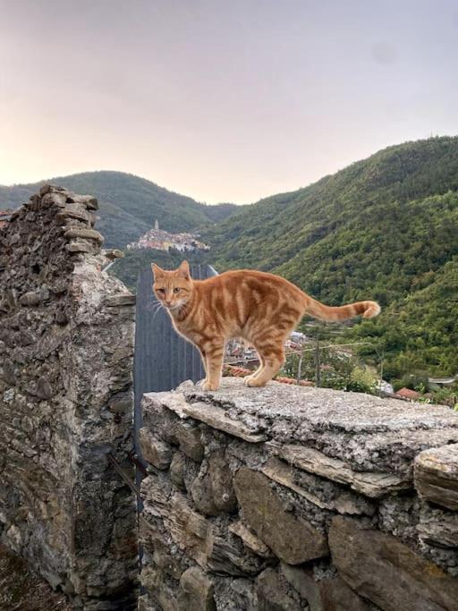 Iconic Italian Townhouse W Rooftop Terrace & Mountain View, بينيا المظهر الخارجي الصورة