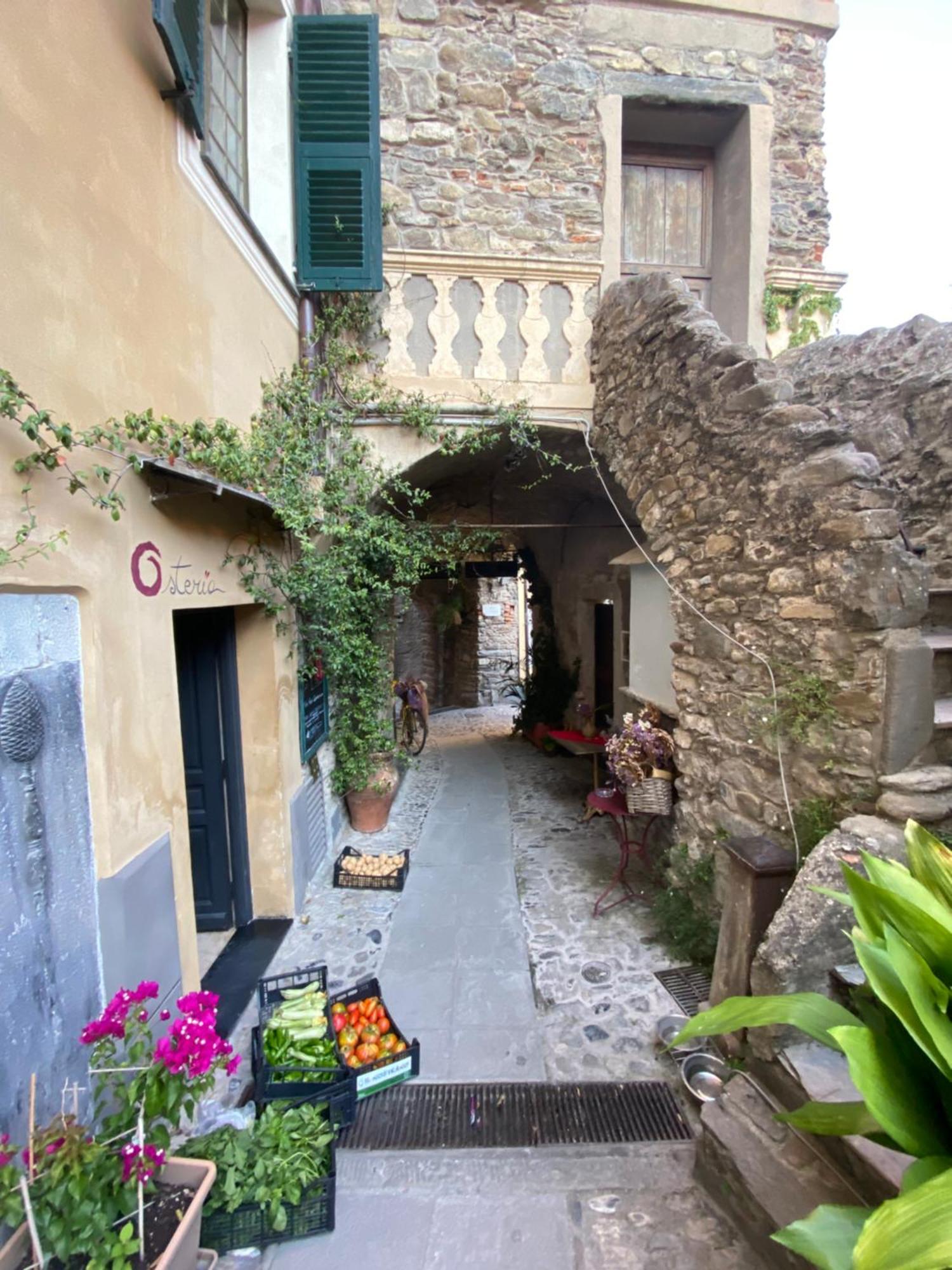 Iconic Italian Townhouse W Rooftop Terrace & Mountain View, بينيا المظهر الخارجي الصورة