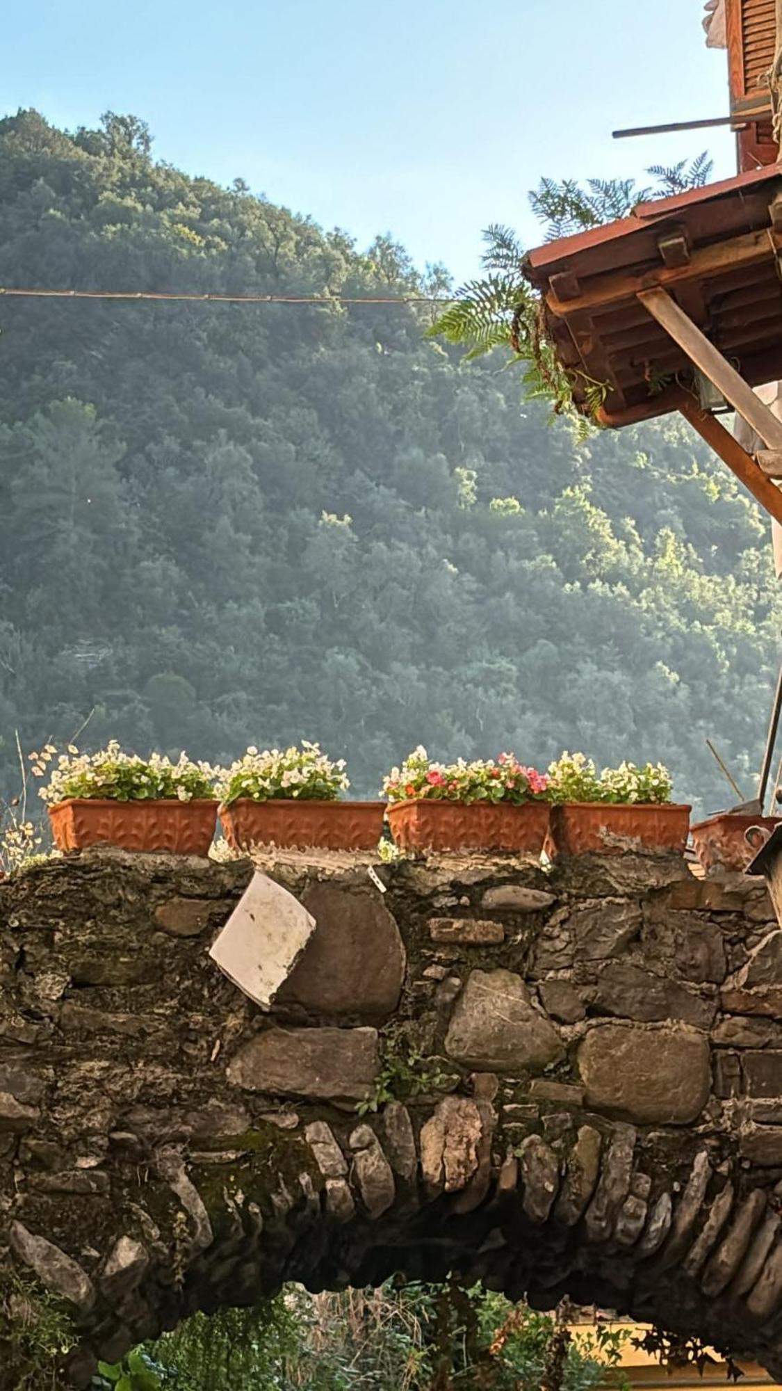 Iconic Italian Townhouse W Rooftop Terrace & Mountain View, بينيا المظهر الخارجي الصورة